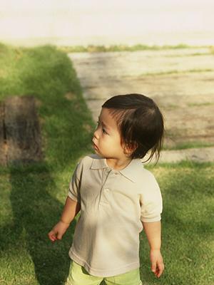 騎手課程合格をサポートする学校